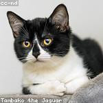 Minnie Jacobs Profile Picture